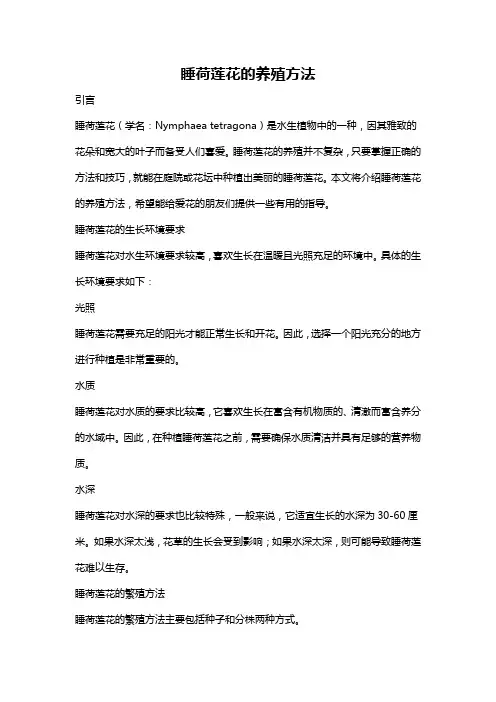 睡荷莲花的养殖方法