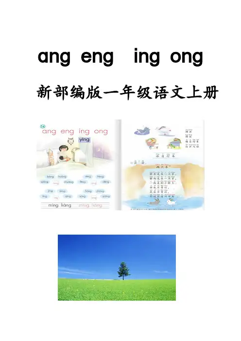 部编人教版一年级语文上册《ɑnɡ enɡ  inɡ onɡ》教学设计