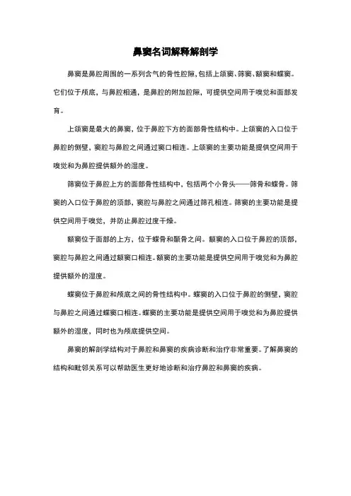 鼻窦名词解释解剖学