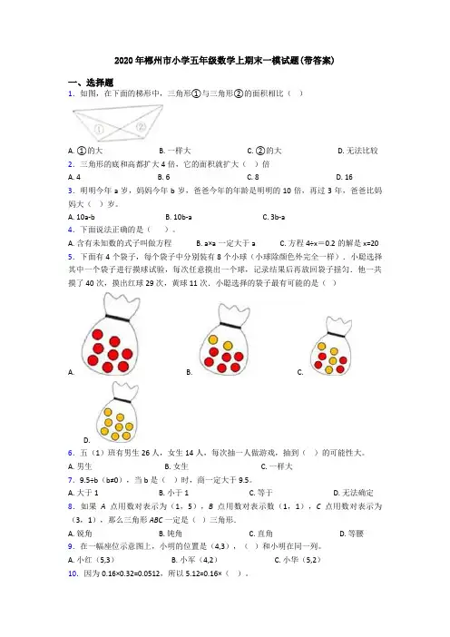 2020年郴州市小学五年级数学上期末一模试题(带答案)