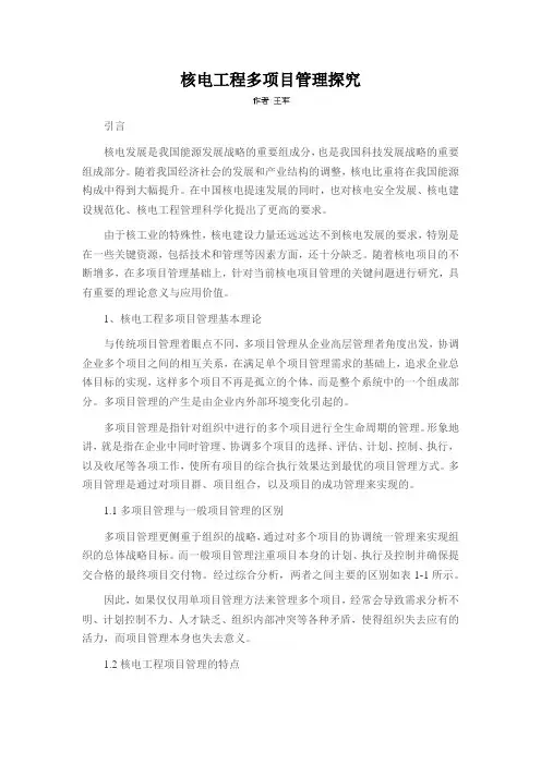 核电工程多项目管理探究