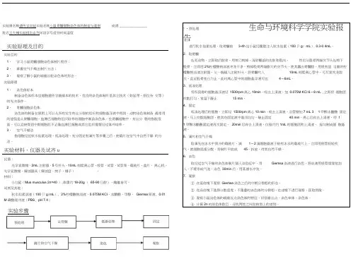 小鼠骨髓染色体实验报告