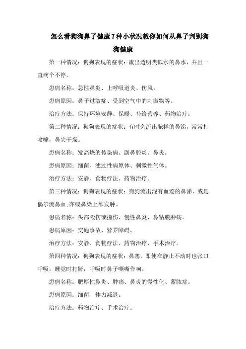 怎么看狗狗鼻子健康7种小状况教你如何从鼻子判别狗狗健康