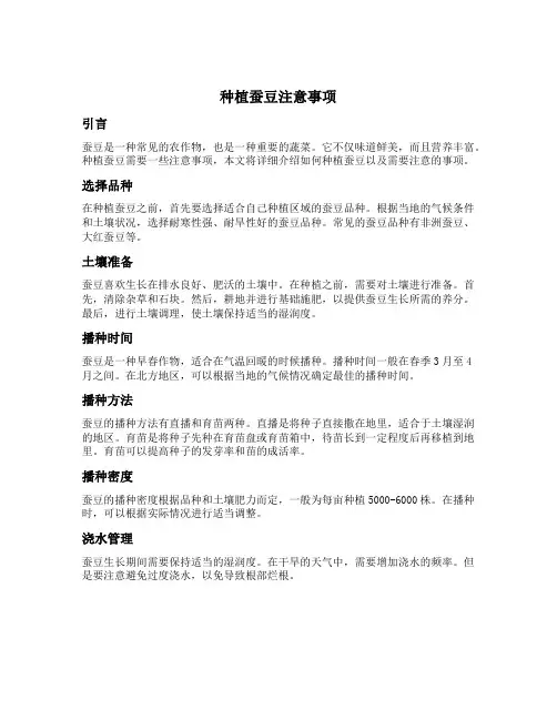 种植蚕豆注意事项