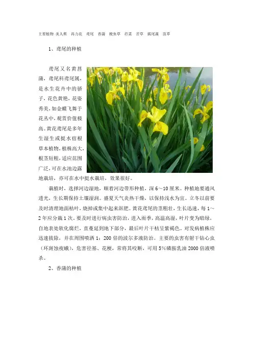 水生植物