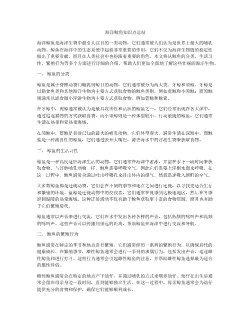 海洋鲸鱼知识点总结