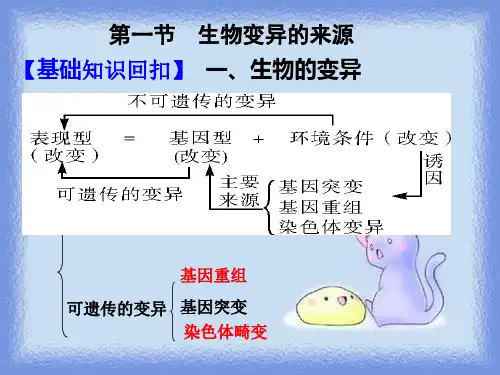 2023浙科版必修2第一节《生物变异的来源》ppt3