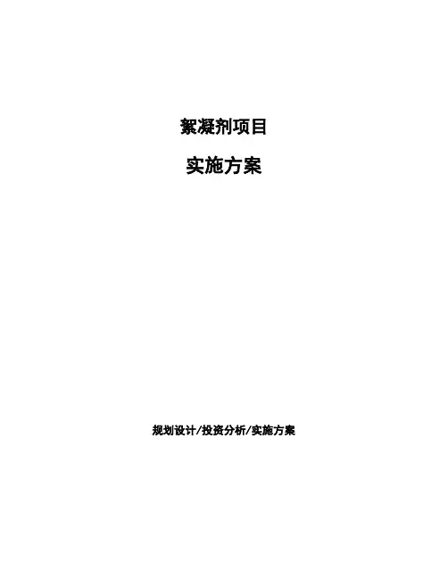 絮凝剂项目实施方案