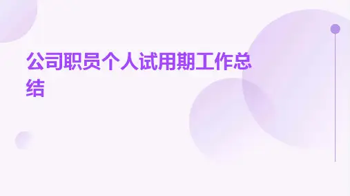 公司职员个人试用期工作总结PPT