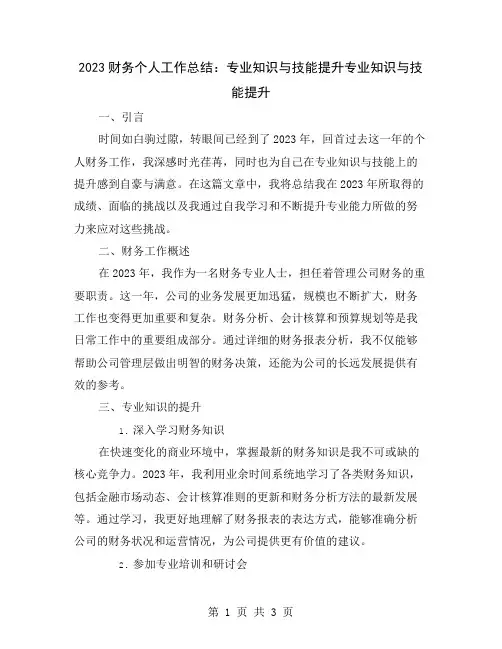 2023财务个人工作总结：专业知识与技能提升