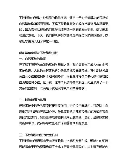 下肢发生静脉曲张的解剖学基础