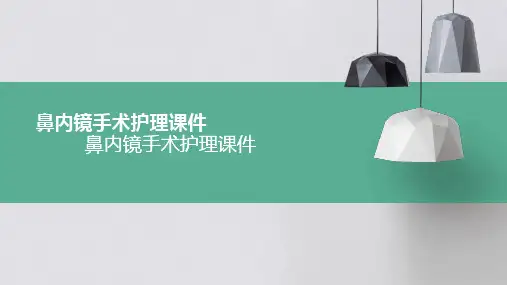 鼻内镜手术护理课件