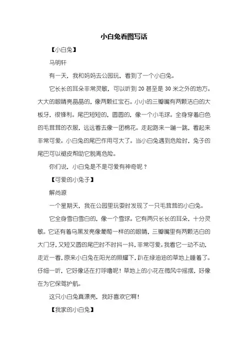 二年级作文：小白兔看图写话