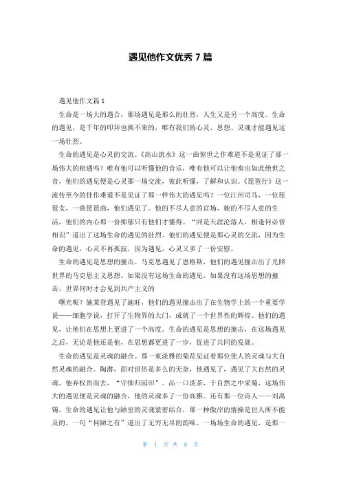 遇见他作文优秀7篇