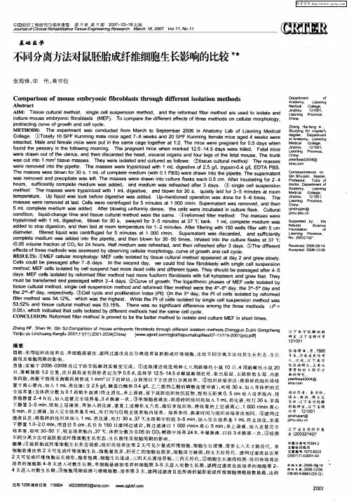 不同分离方法对鼠胚胎成纤维细胞生长影响的比较