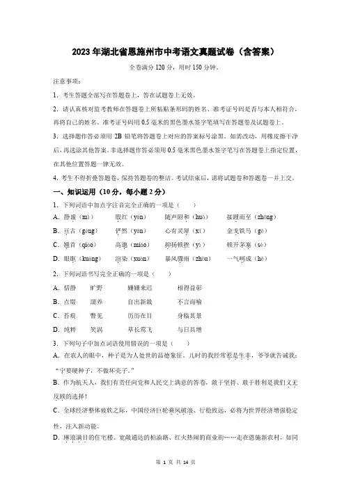 2023年湖北省恩施州市中考语文真题试卷(含答案)