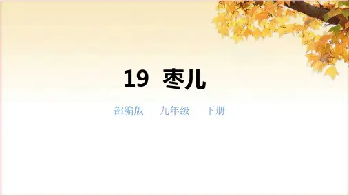 部编版语文 九下 《枣儿》(教学课件)(共29张PPT)