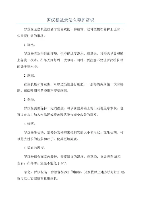 罗汉松盆景怎么养护常识