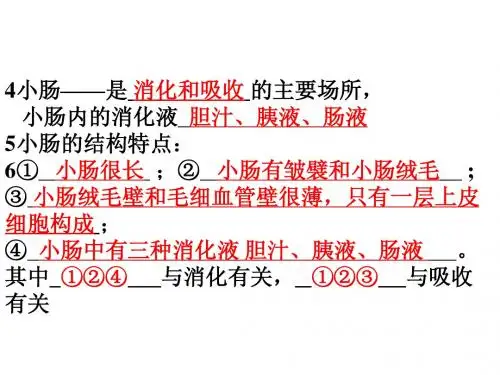 消化与吸收小结