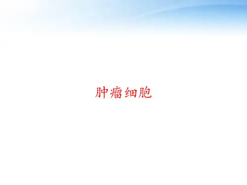 肿瘤细胞 ppt课件