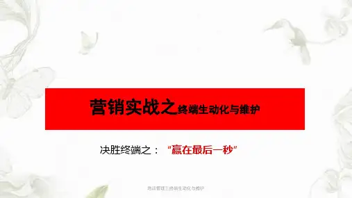培训管理三终端生动化与维护PPT课件