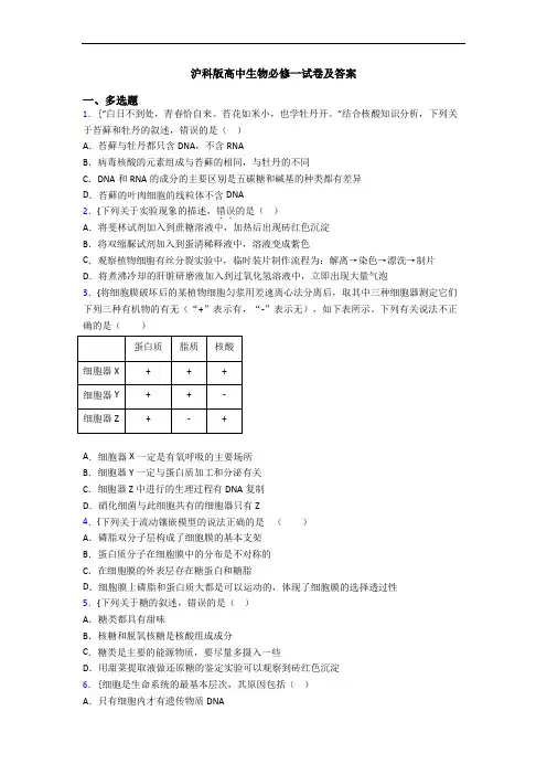 沪科版高中生物必修一试卷及答案