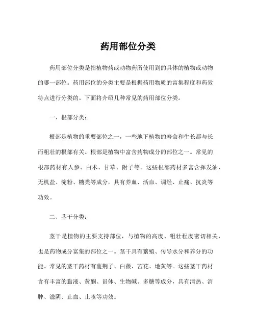 药用部位分类
