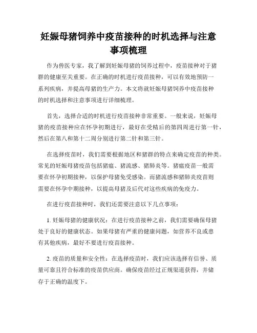 妊娠母猪饲养中疫苗接种的时机选择与注意事项梳理