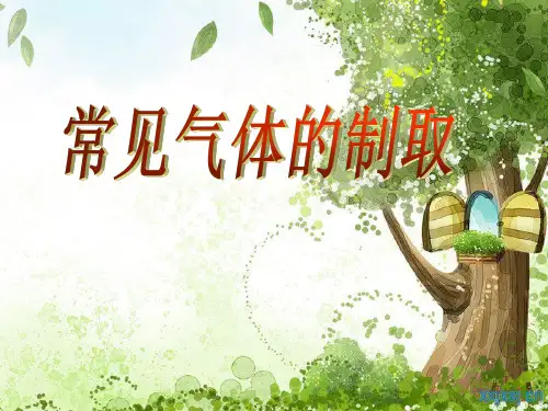 中考化学专题复习一气体的制备29页