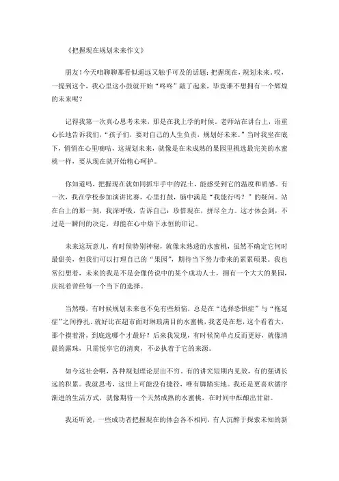 把握现在规划未来作文