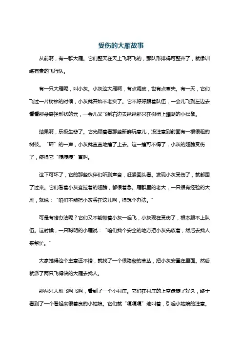受伤的大雁故事
