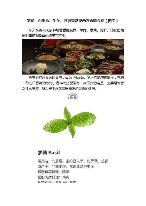 罗勒、百里香、牛至、莳萝等常见西方香料介绍（图文）
