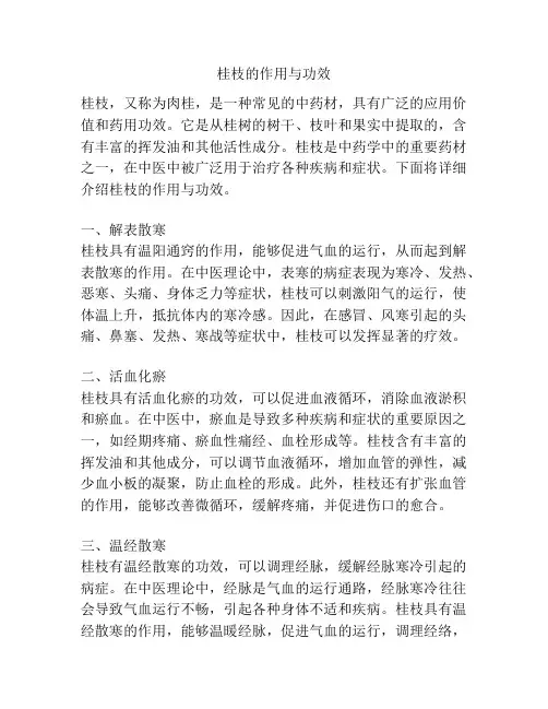 桂枝的作用与功效