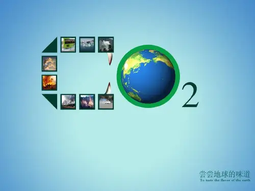 应对气候变化的零碳策略PPT课件