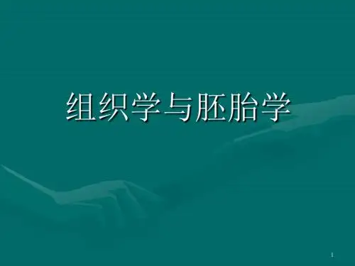 组织胚胎学全册优质课件336p