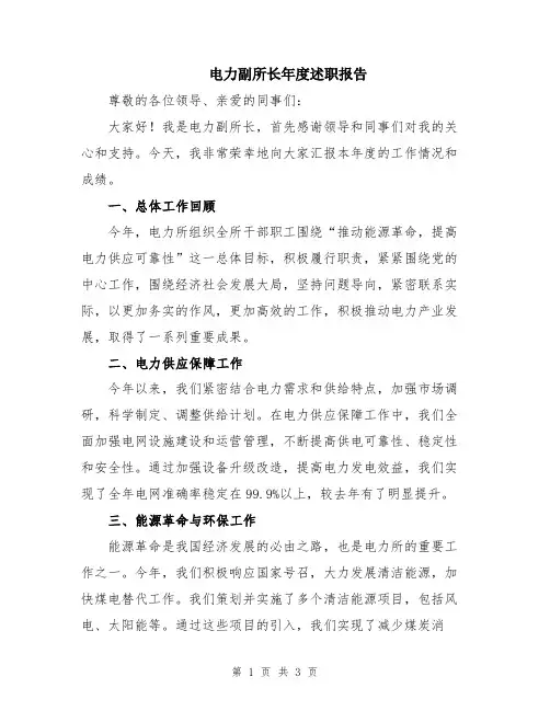电力副所长年度述职报告