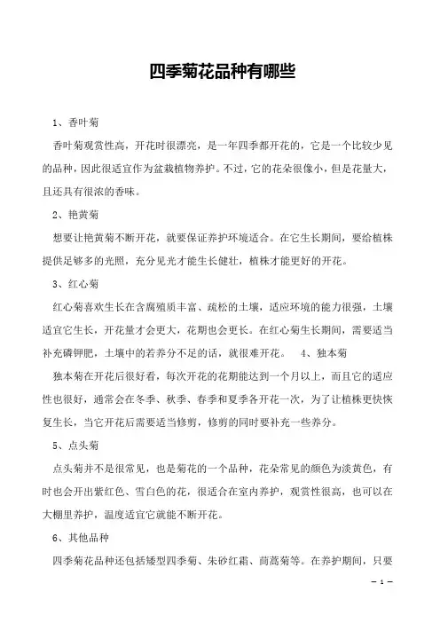 四季菊花品种有哪些