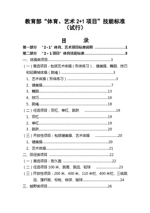 学生体艺技能认定标准