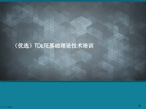 (优选)TDLTE基础理论技术培训