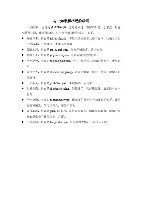 与一知半解相近的成语
