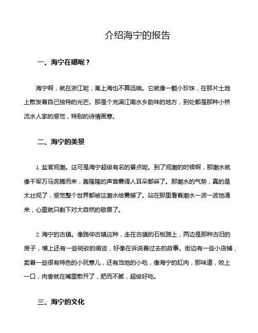 介绍海宁的报告
