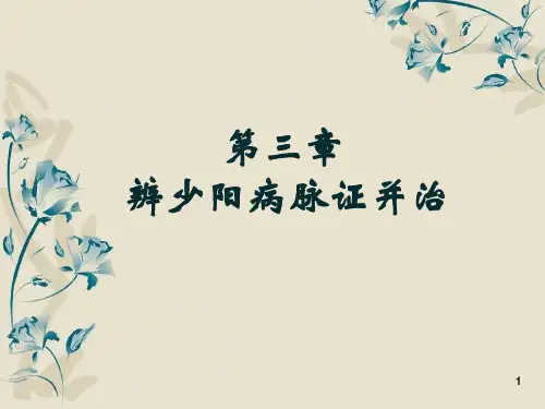 少阳病篇介绍