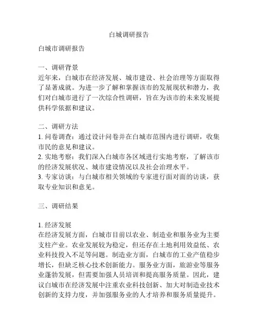 白城调研报告