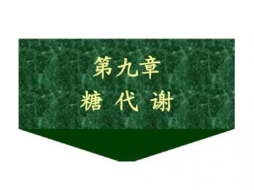 生物化学糖代谢(第九章)