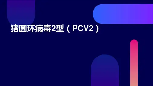 猪圆环病毒2型PCV