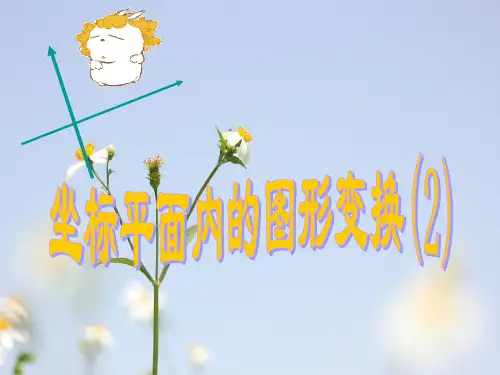 坐标平面内的图形变换PPT教学课件