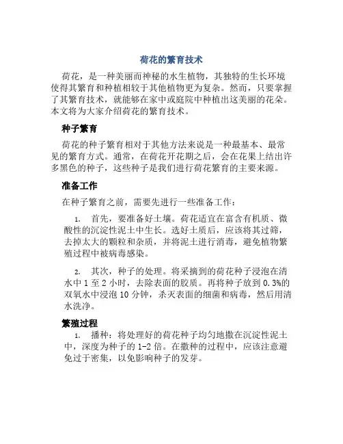 荷花的繁育技术