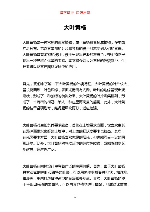 大叶黄杨_精品文档