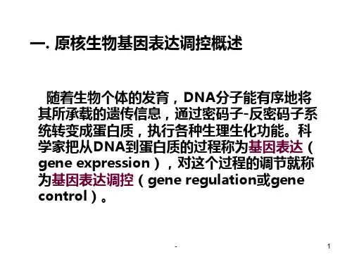 原核生物基因表达调控