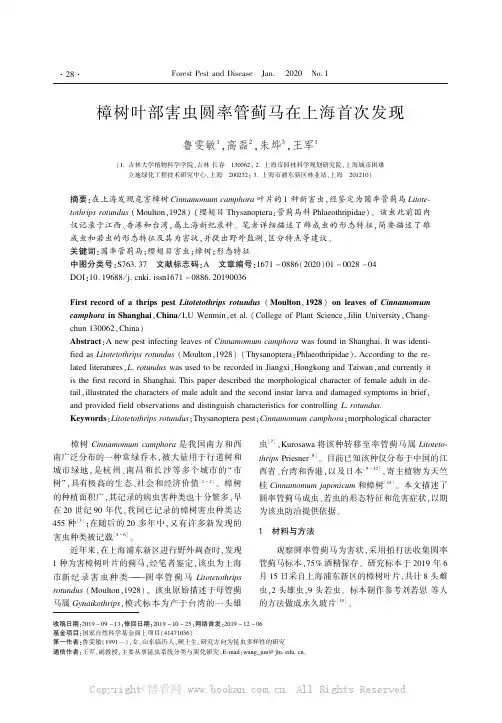 樟树叶部害虫圆率管蓟马在上海首次发现